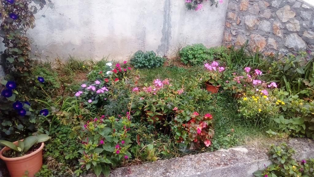 Guesthouse Filepi Senj  Esterno foto